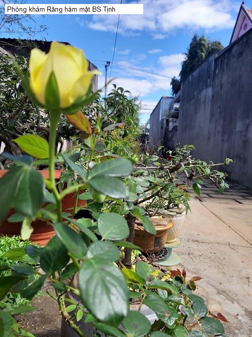 Hình ảnh Phòng khám Răng hàm mặt BS Tịnh